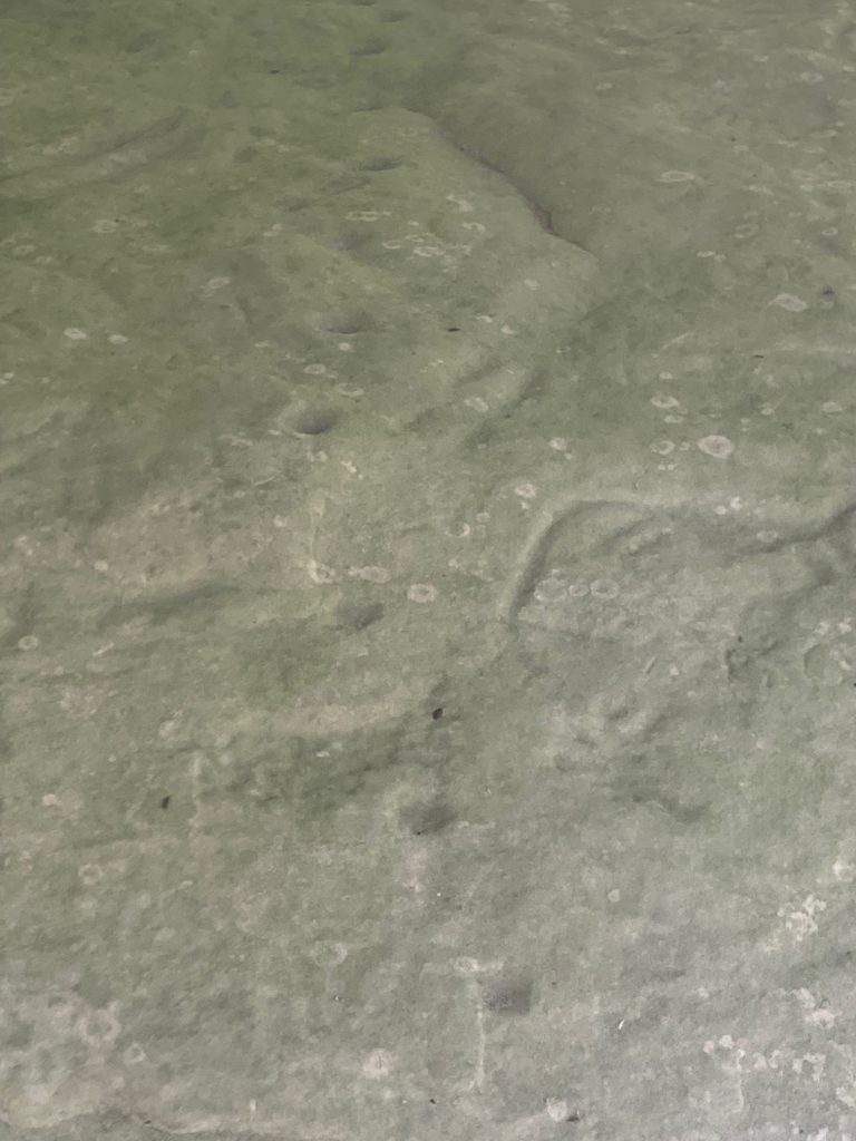 A line of indented circles in the Sanilac petroglyphs that runs perfectly north/south.