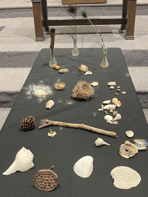 Nature table as part of Creation Season at Grace Church.
